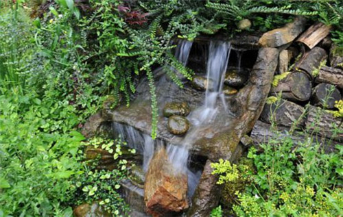 英國(guó)78歲老太7年將廢棄沼地改成“仙境”