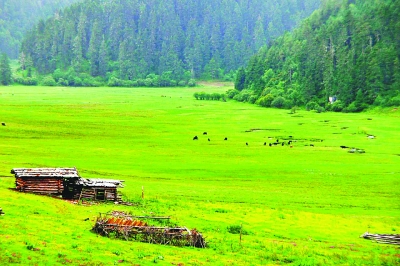 以生態(tài)文明引領國家公園建設