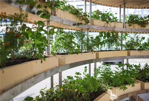 直徑2.5m的球，號稱可以移動的花園