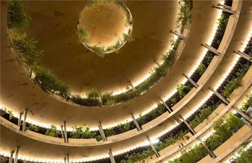 直徑2.5m的球，號稱可以移動的花園