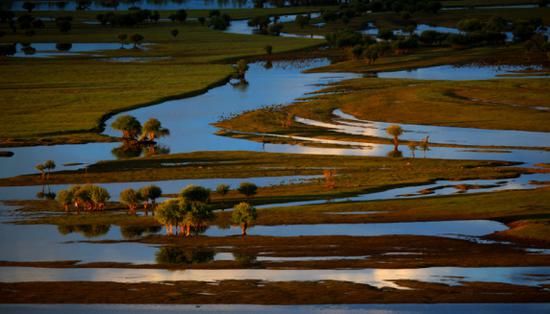 “亞洲第一濕地”額爾古納濕地