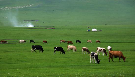 “亞洲第一濕地”額爾古納濕地