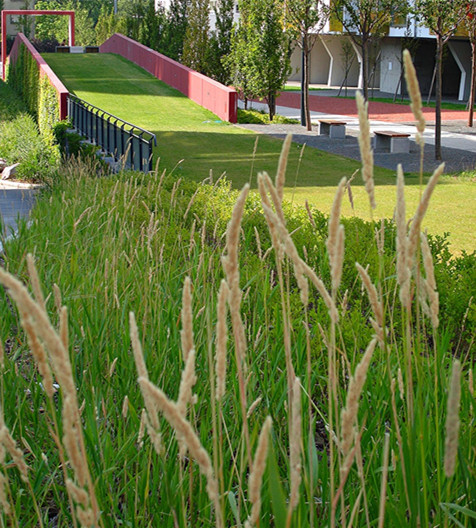 澳大利亞維也納-蒙特拉中央公園