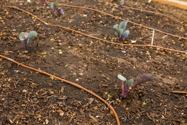自己動手打造宜人的庭院坡地景觀