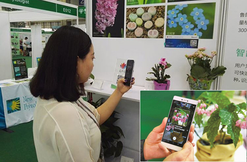 以app為切入口 人工智能正悄悄浸入花木行業