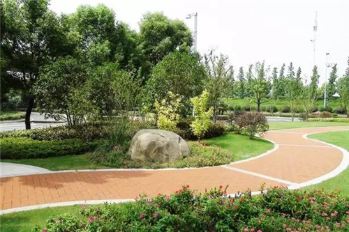 從綠化工程要求，看苗木生產(chǎn)標準