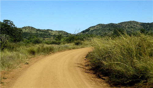 南非比鄰斯堡國(guó)家公園