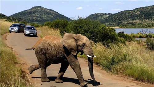 南非比鄰斯堡國家公園