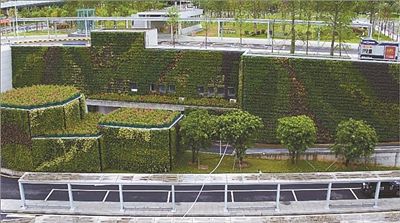 3000平方米植物綠墻在深圳亮相