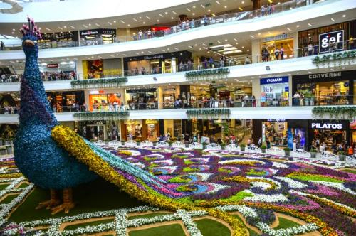 哥倫比亞:鮮花織就高大“孔雀” 迎“鮮花節”