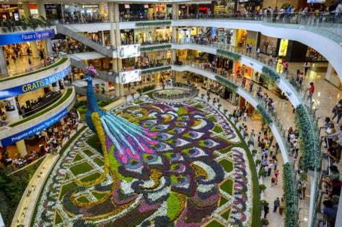 哥倫比亞:鮮花織就高大“孔雀” 迎“鮮花節”