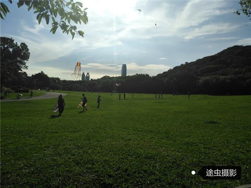 深圳CBD最大公園是深圳最美城市公園之一