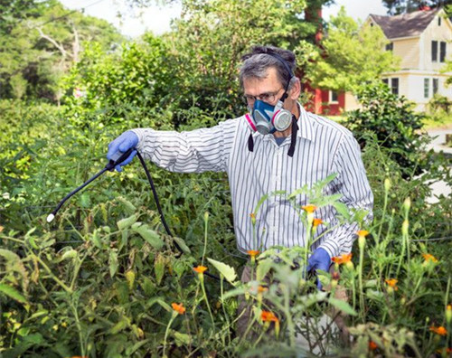 農藥的化學成分對環境有絕對的負面影響