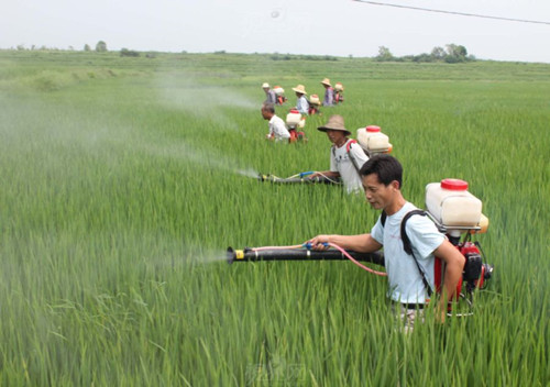 農藥的化學成分對環境有絕對的負面影響