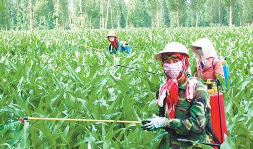 農藥的化學成分對環境有絕對的負面影響