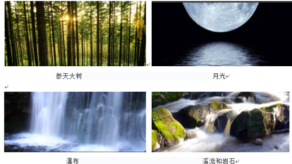 森林的再現-馬來西亞Azelia住宅區景觀