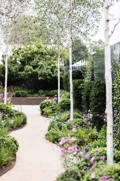 倫敦的綠色革命