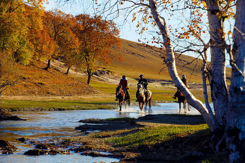 河北各界熱議塞罕壩:久久為功構筑綠色屏障