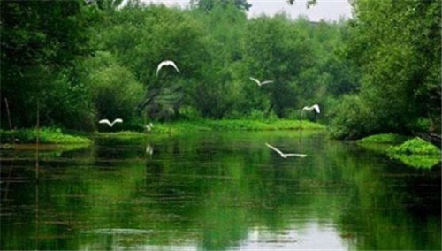 杭州城市金名片“西溪濕地”將復制到北京?