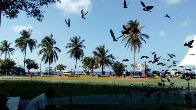 世界人口最擁擠的城市馬累是什么樣子的?