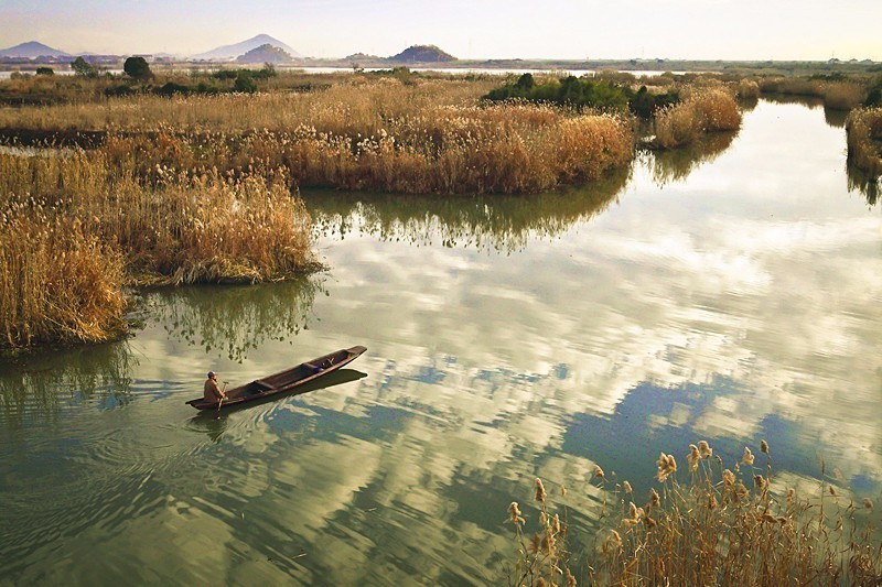 浙江美麗的濕地公園