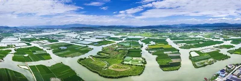 浙江美麗的濕地公園