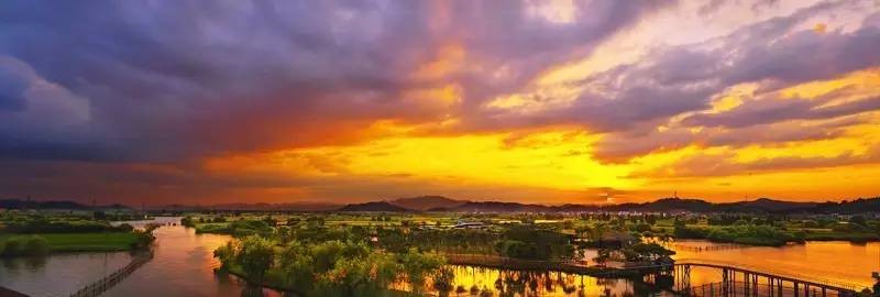 浙江美麗的濕地公園