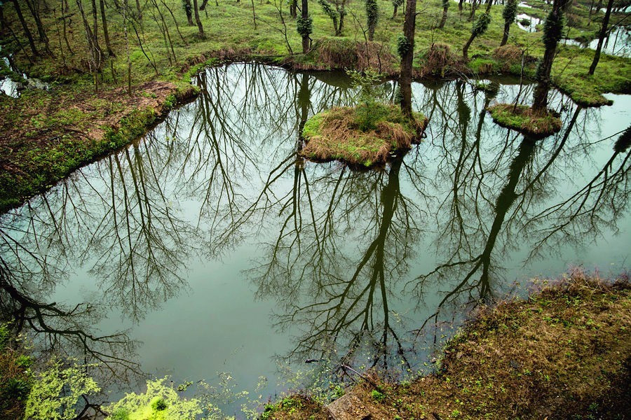 浙江美麗的濕地公園