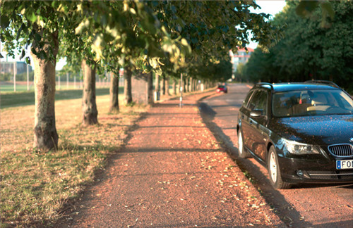 燕園為您呈現(xiàn)漂亮的金桐力大道