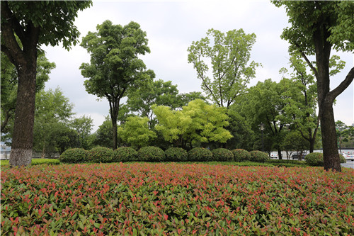 杭州園林作品:三江兩岸整治(一期)