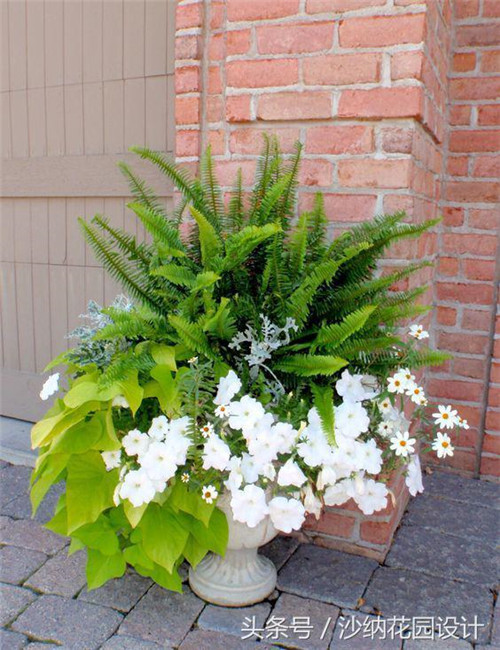 花園中精妙絕倫的插花藝術