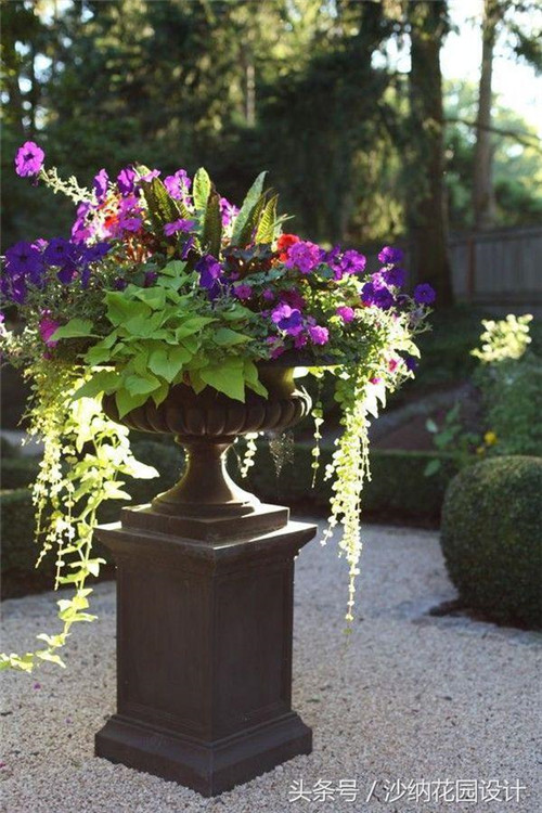 花園中精妙絕倫的插花藝術