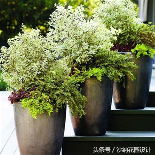 花園中精妙絕倫的插花藝術