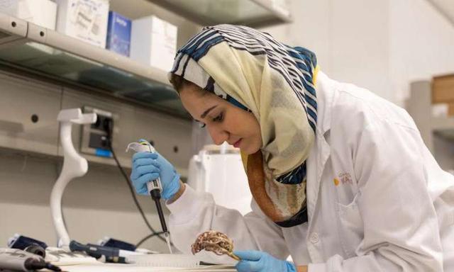 研究發現三種天然植物具有強大的抗癌潛力!