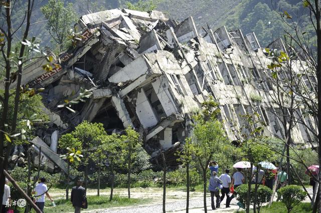 如果植物出現批量地反常,可能地震要來了