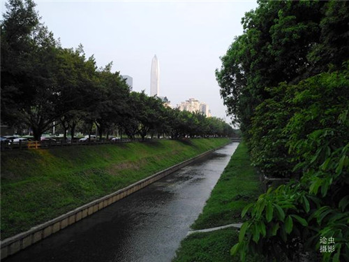 流經深圳市區的幾條“著名”河流