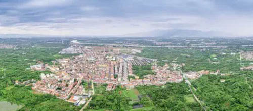 華東最大的花卉城落戶金華