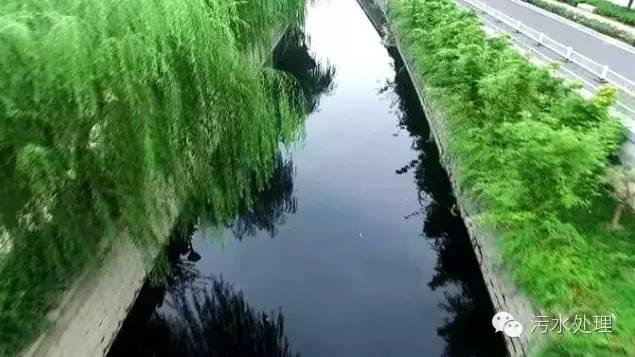 河道治理技術總結