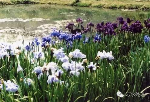 河道治理技術總結