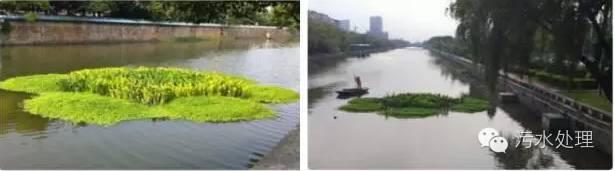 河道治理技術總結