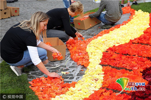 比利時“鮮花地毯”節