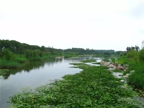 治理河流生態、 復活河流生命