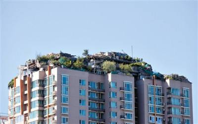 北京“最牛違建”樓頂又見綠