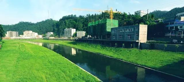 河道生態棲息地的修復設計與施工