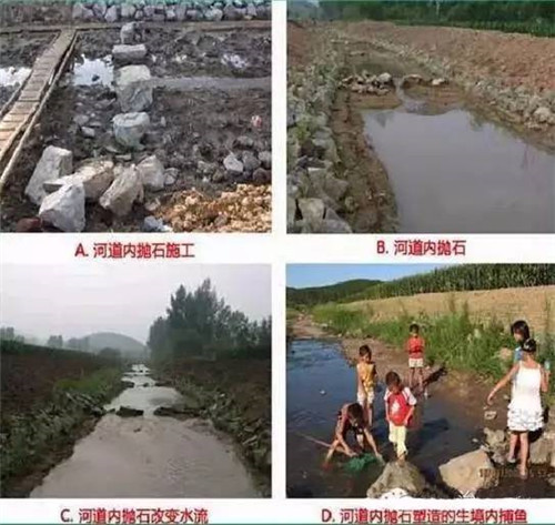 河道生態棲息地的修復設計與施工