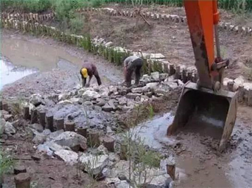 河道生態棲息地的修復設計與施工