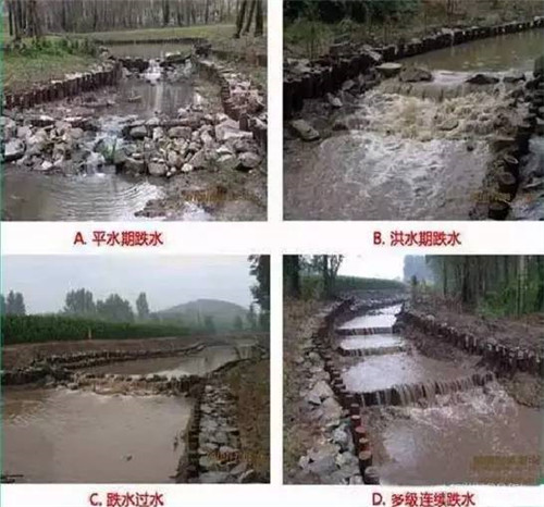 河道生態棲息地的修復設計與施工