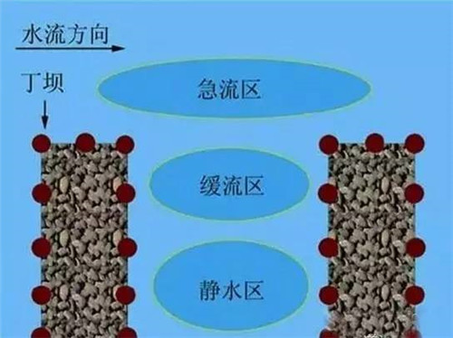 河道生態棲息地的修復設計與施工