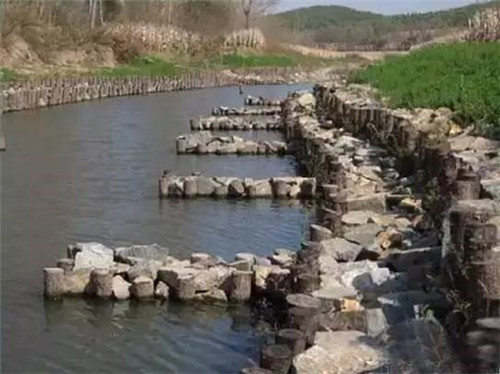 河道生態棲息地的修復設計與施工