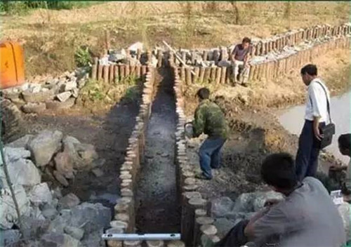 河道生態棲息地的修復設計與施工